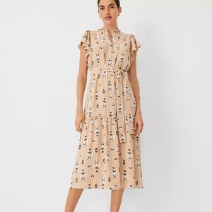 NWT floral flutter sleeve belted flare dress 12